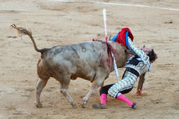 Julio Aparicio was heavily gored by a bull, the horn entering his lower jaw and exiting through his mouth.  Despite the seriousness of his wound he recovered to fight again a year later